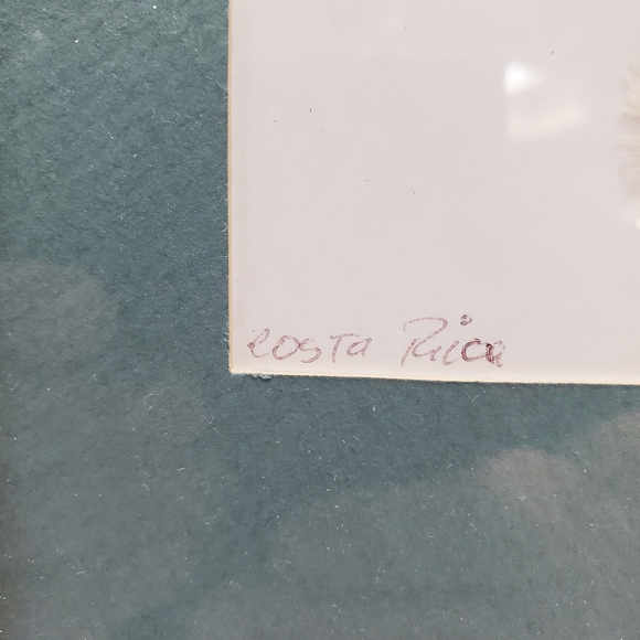 Original Feather Oil Paintings Artist: Roboide 2000 Parrots and Tropical Sunset - Picture 7 of 10